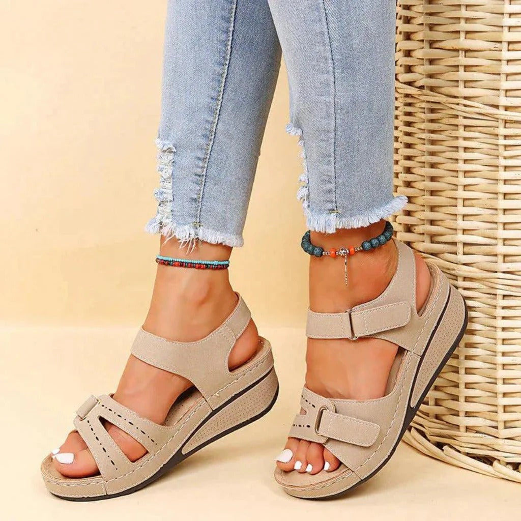 AMLORE RETAIL import 2026-09-09 horizontal mirror · SHA-256 cbc96546b28e7ebac810dc453cbdd4d437e04f308ea482fff843a17198908817