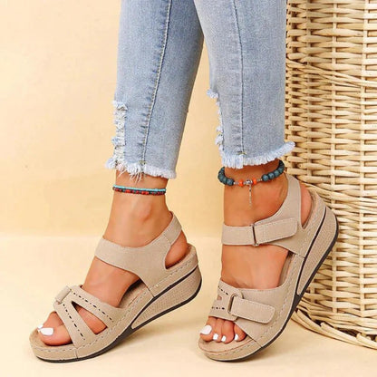 AMLORE RETAIL import 2026-09-09 horizontal mirror · SHA-256 cbc96546b28e7ebac810dc453cbdd4d437e04f308ea482fff843a17198908817