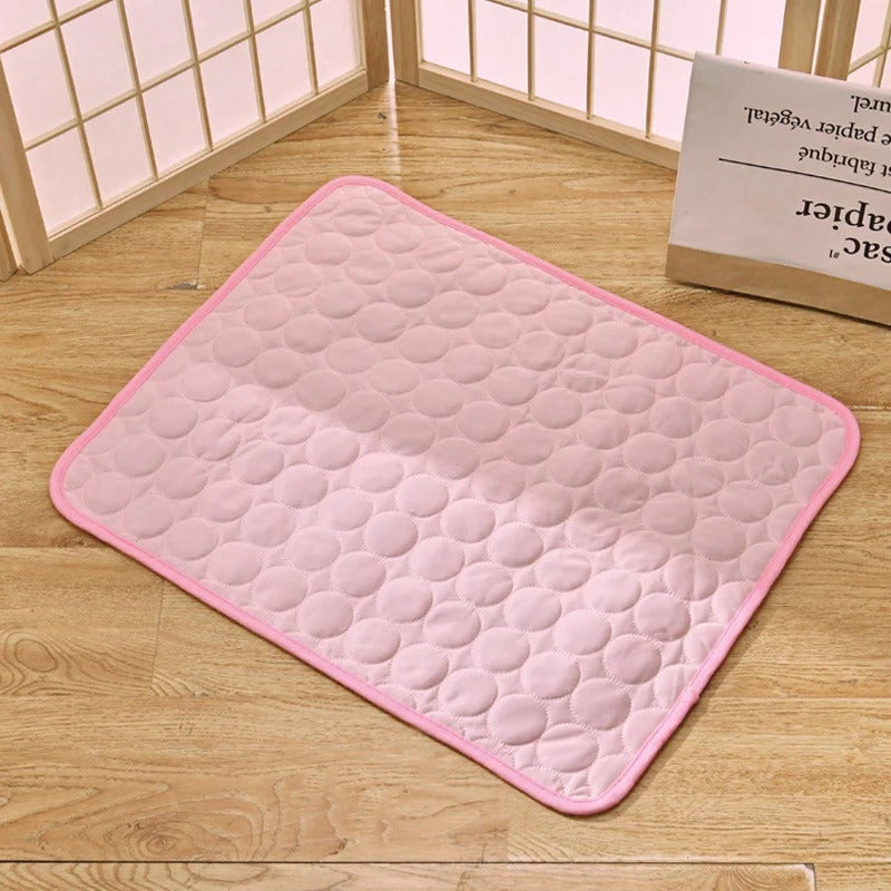 AMLORE RETAIL import 2026-09-09 horizontal mirror · SHA-256 1bd643d6052229672e447e9c9ec93c1d99f47f6a0ea75ba56bca4a5093332c5e