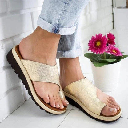 AMLORE RETAIL import 2026-09-09 horizontal mirror · SHA-256 3aa0b1572d4d7b8a944ca7ee29093286e32d852d9f868811ba379952701f4be2