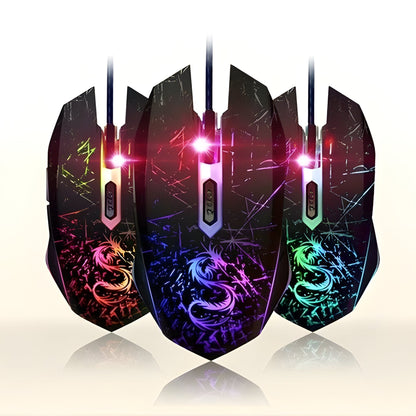 AMLORE RETAIL import 2026-09-09 horizontal mirror · SHA-256 34db72fe02b6aacd86f7f458cbf0687791f1983510170374d0bd5baea69e7687