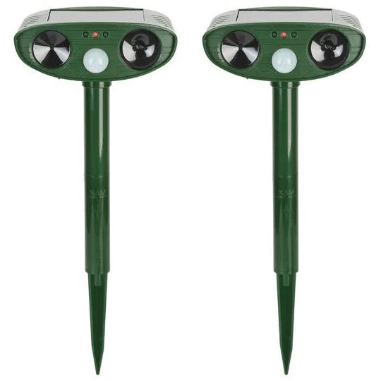 AMLORE RETAIL import 2026-09-09 horizontal mirror · SHA-256 c1f6c8ce60797e8e68bddabb1d5efff3e0b1518c7f4d6d4708da559ec93f78d9