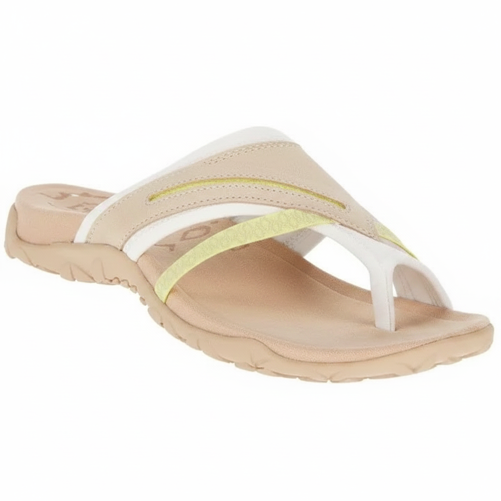 AMLORE RETAIL import 2026-09-09 horizontal mirror · SHA-256 4c6f52c6a7dcd439bc329ce52b531ef8dcffce4fa06bb6b758d5201012acc085
