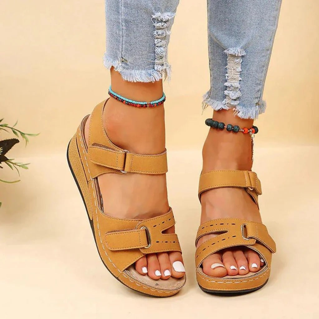AMLORE RETAIL import 2026-09-09 horizontal mirror · SHA-256 59f89c3a690866a88cc817b5b52ebf01a14ed5286bbbcfd47690fe3f1a8406bb
