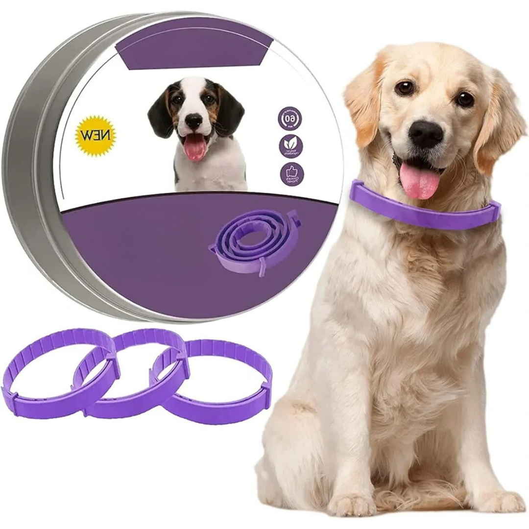 AMLORE RETAIL import 2026-09-09 horizontal mirror · SHA-256 bd9ae52eef338632d9a94c385a360a09e85f58cf8781581bbd83a88fda0eeeea