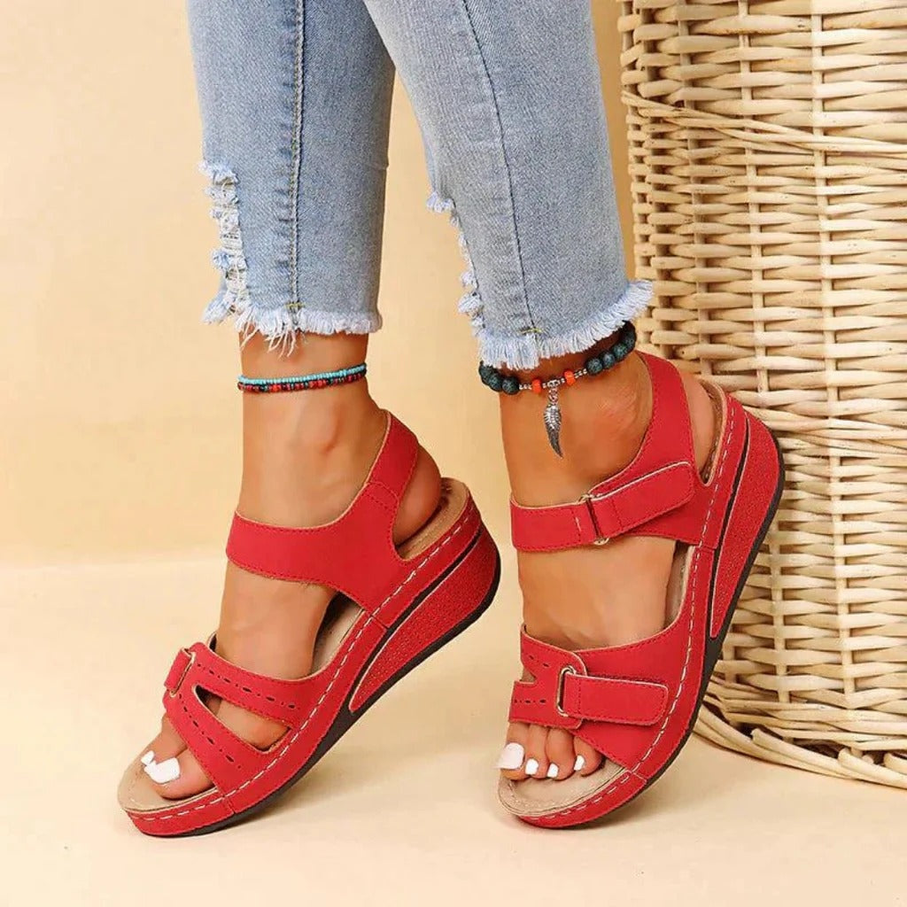AMLORE RETAIL import 2026-09-09 horizontal mirror · SHA-256 6c675a35897683b9b4cb7fdec6d954eed4e1a5782c20f32e07fe0f08186e714b
