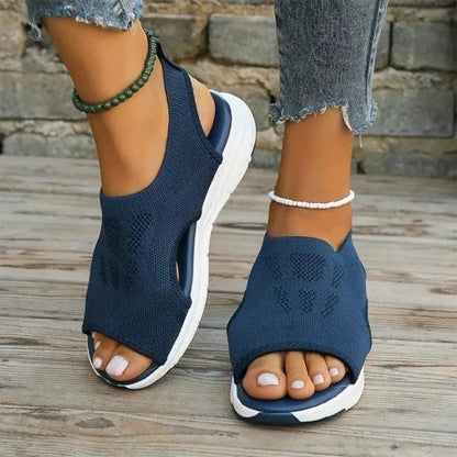 AMLORE RETAIL import 2026-09-09 horizontal mirror · SHA-256 ed24857edacc8ca4fccc33e0e4046a737e3549d26c456c75b7c1be9617b8bc92