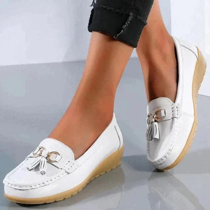 AMLORE RETAIL import 2026-09-09 horizontal mirror · SHA-256 0bcd193e68e6c366ca938afb11649e0441886e9497f1926af2def815efc1e363