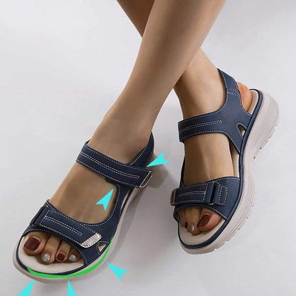 AMLORE RETAIL import 2026-09-09 horizontal mirror · SHA-256 b2ad28592c890b62a956a6eb307155bd81d032d57236db3d207655f708b68cd9