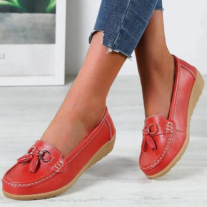 AMLORE RETAIL import 2026-09-09 horizontal mirror · SHA-256 237613e23e39ea2786f3ca40a250b7f572e07094459a10dd15c43f33bd91f76e