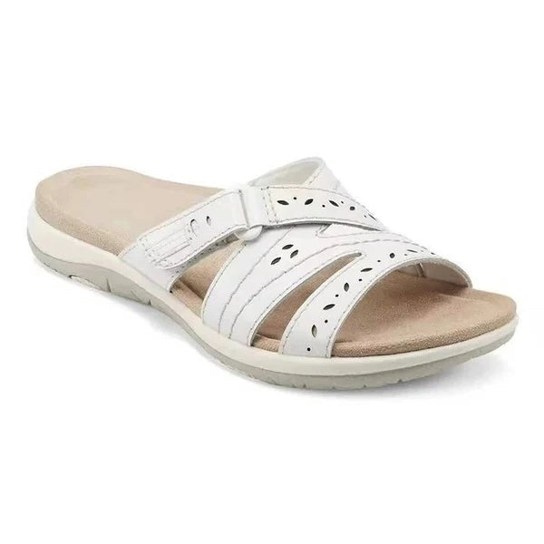 AMLORE RETAIL import 2026-09-09 horizontal mirror · SHA-256 4cd639a7159396279d24c5fb3a7591826b7addd976b8cac297958d01a84f50d9