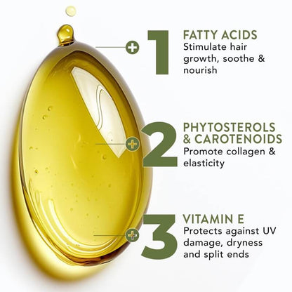 Aviora™ - Restorative Scalp Nourishment For Fuller Hair