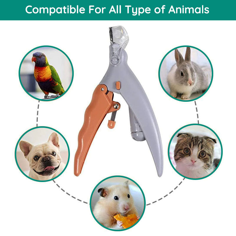 LumiPaw™ - See The Quick For Safer Trims