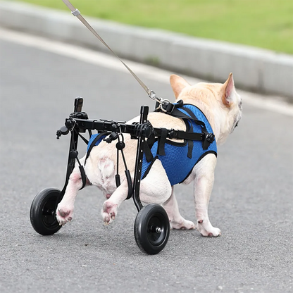 VeloPet™ - Restores Rear Mobility for Everyday Movement