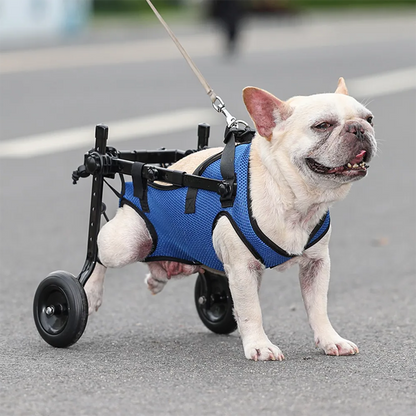 VeloPet™ - Restores Rear Mobility for Everyday Movement