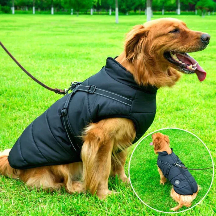 Furline™ - Keeps Dogs Warm On Winter Walks