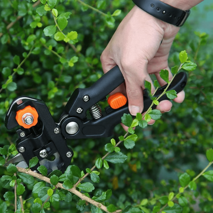 Verdan™ - Precision Grafting For Clean, Reliable Plant Unions