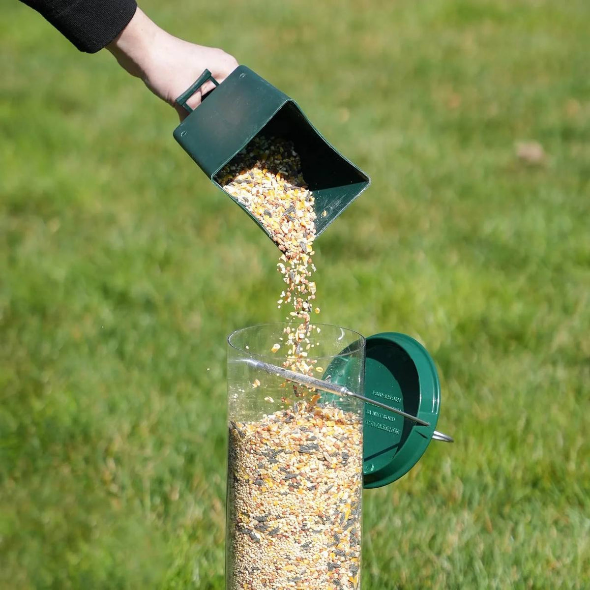 Aviora™ - Keeps Seed For Birds, Not Squirrels