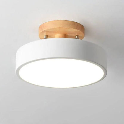Luminex™ - Slim Ambient Ceiling Light For Hallways And Bedrooms